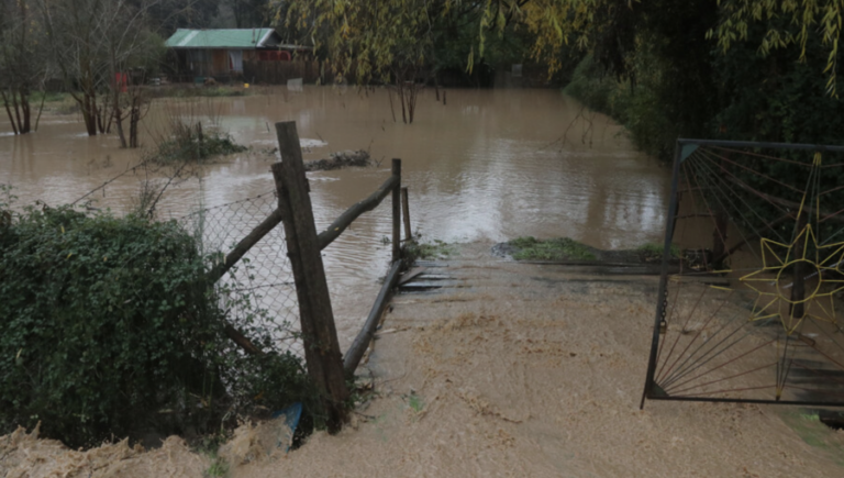 Licantén: Autoridades locales llaman a evacuar preventivamente la comuna