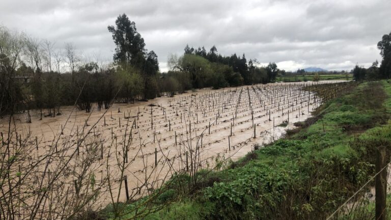 Presidente decreta Estado de Emergencia Agrícola entre las regiones de O’Higgins y Bío Bío