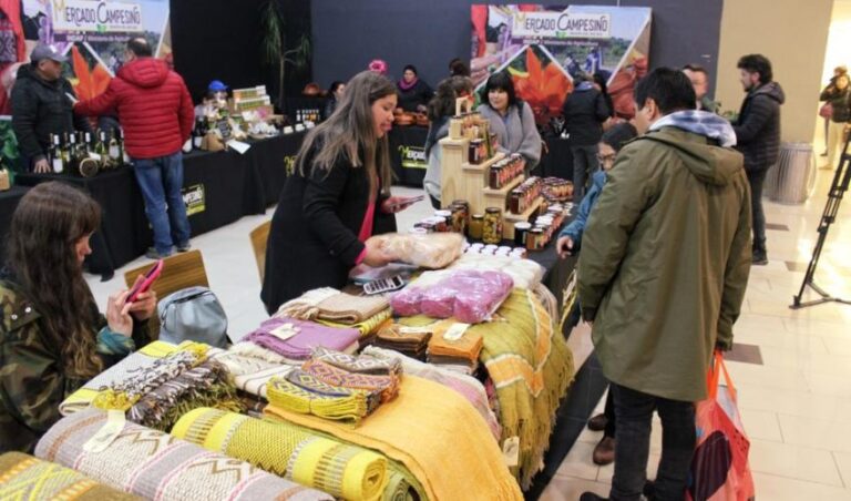 Mercado Campesino llega a Mall Curicó Para apoyar a emprendedores damnificados