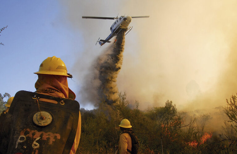 Importante alianza por la prevención de incendios forestales