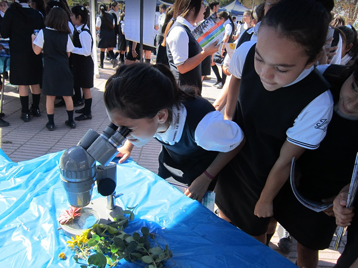 El Maule recibirá el Festival de las Ciencias 2023 