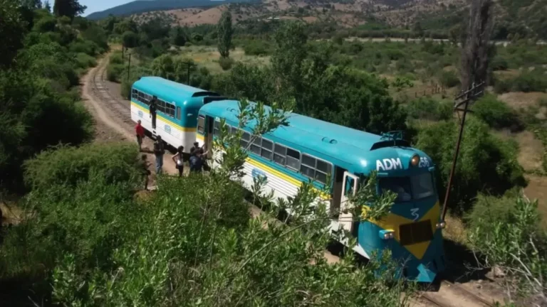 Ramal Talca-Constitución: Servicios de transporte comienzan este lunes 