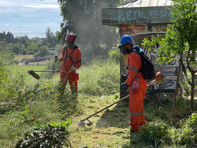 Talca: comienzan trabajos de desbroce en sector El Bajo