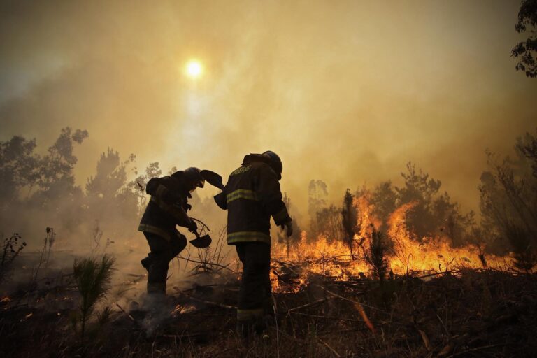 San Javier: Se realizó primera campaña preventiva de incendios forestales