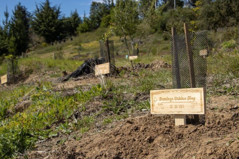 “Árboles por la Memoria”: en recuerdo de detenidos desaparecidos y Ejecutados Políticos en el Maule 