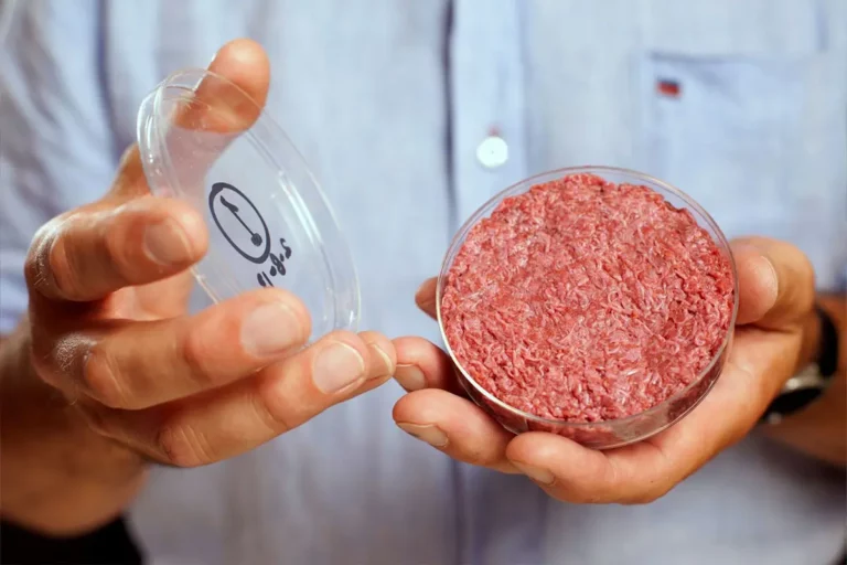 Italia prohíbe carne sintética según nueva ley parlamentaria