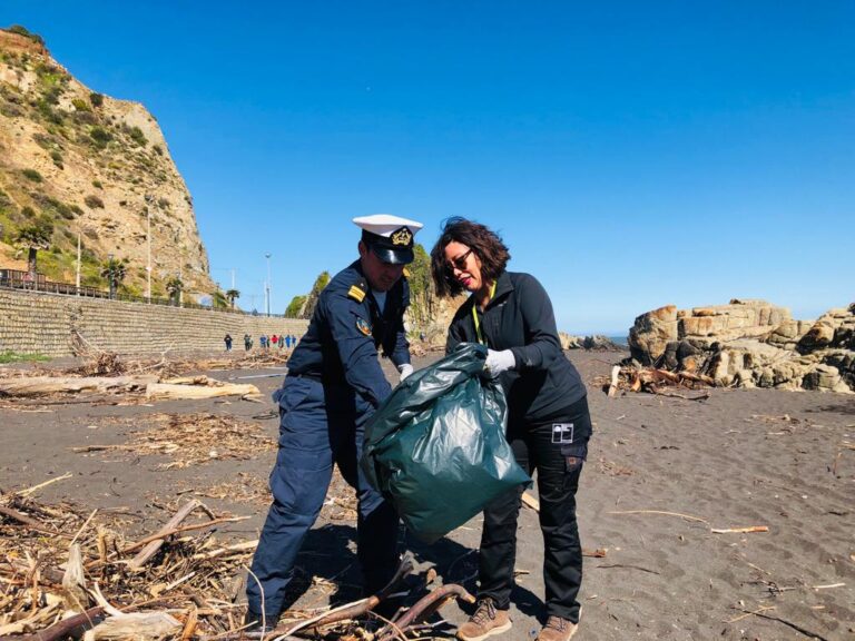 Chanco: Nueva jornada de Limpieza de Playas se realizará este 9 de noviembre