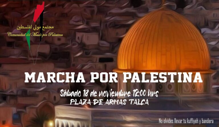 La Colectividad del Maule por Palestina convoca a marcha en Talca