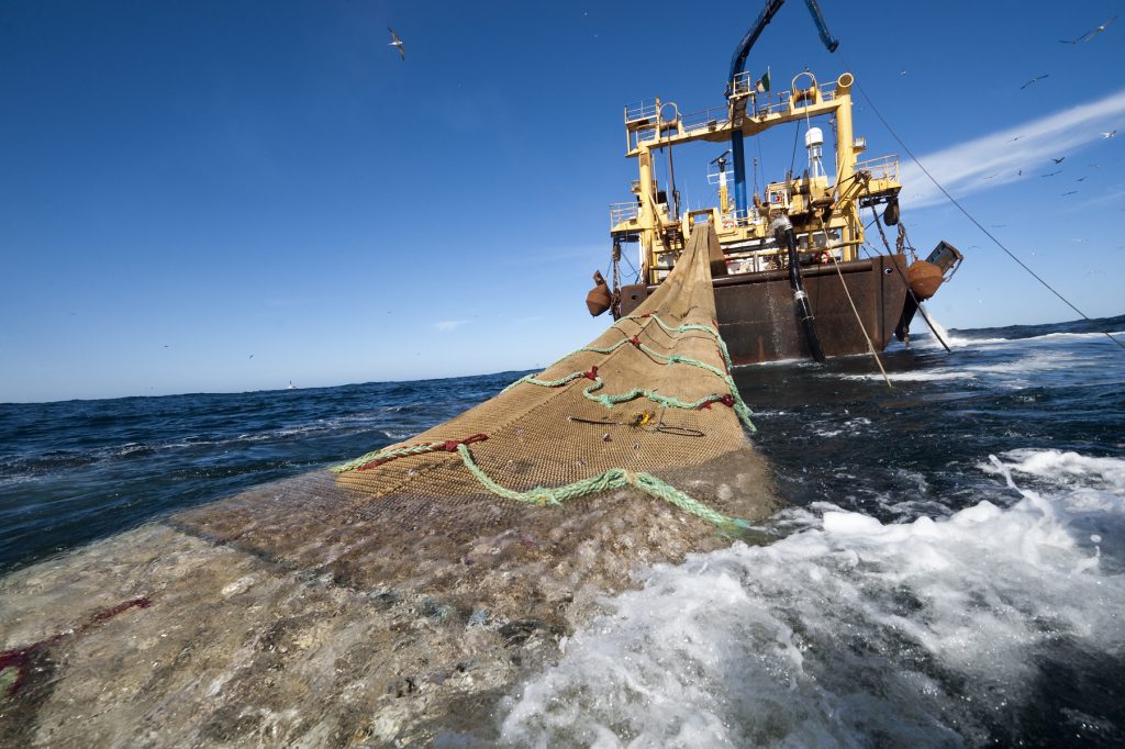 Un proyecto recoge cien toneladas de redes de pesca en la costa de Chile