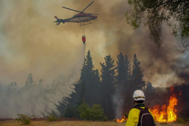 Falta de recursos dificulta la capacidad para enfrentar incendios forestales en el Maule