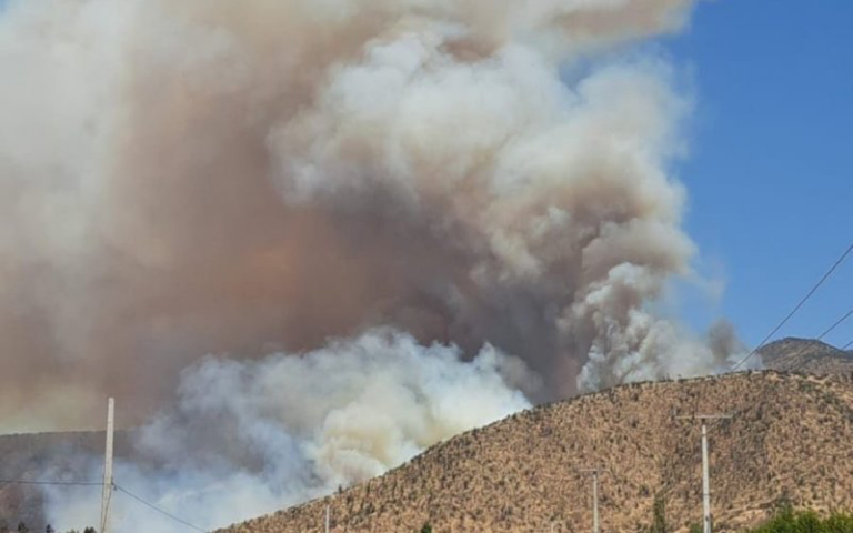 Alerta Roja: Incendio Forestal consume 500 hectáreas en Curacaví y Padre Hurtado