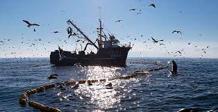 Presentan Ley de Pesca para la Transparencia y Equidad
