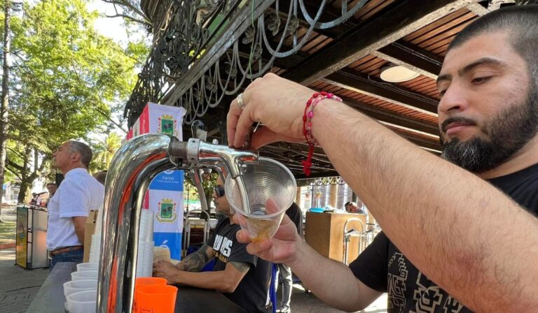 Feria de la Cerveza en Curicó desarrollará su séptima versión