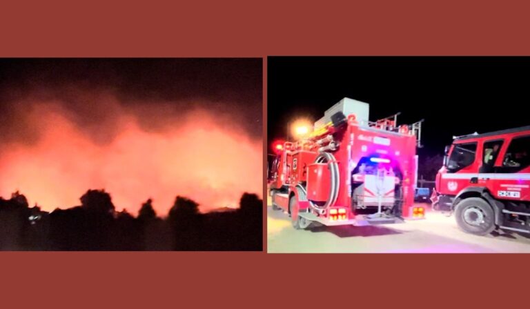 Evacuación masiva en Caliboro: Incendio forestal arrasa con 500 hectáreas