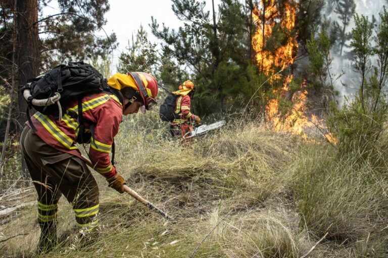 Incendio forestal provocó evacuación preventiva en la localidad de Caliboro en San Javier