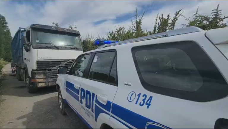 Longaví: PDI recupera ganado y camión robado
