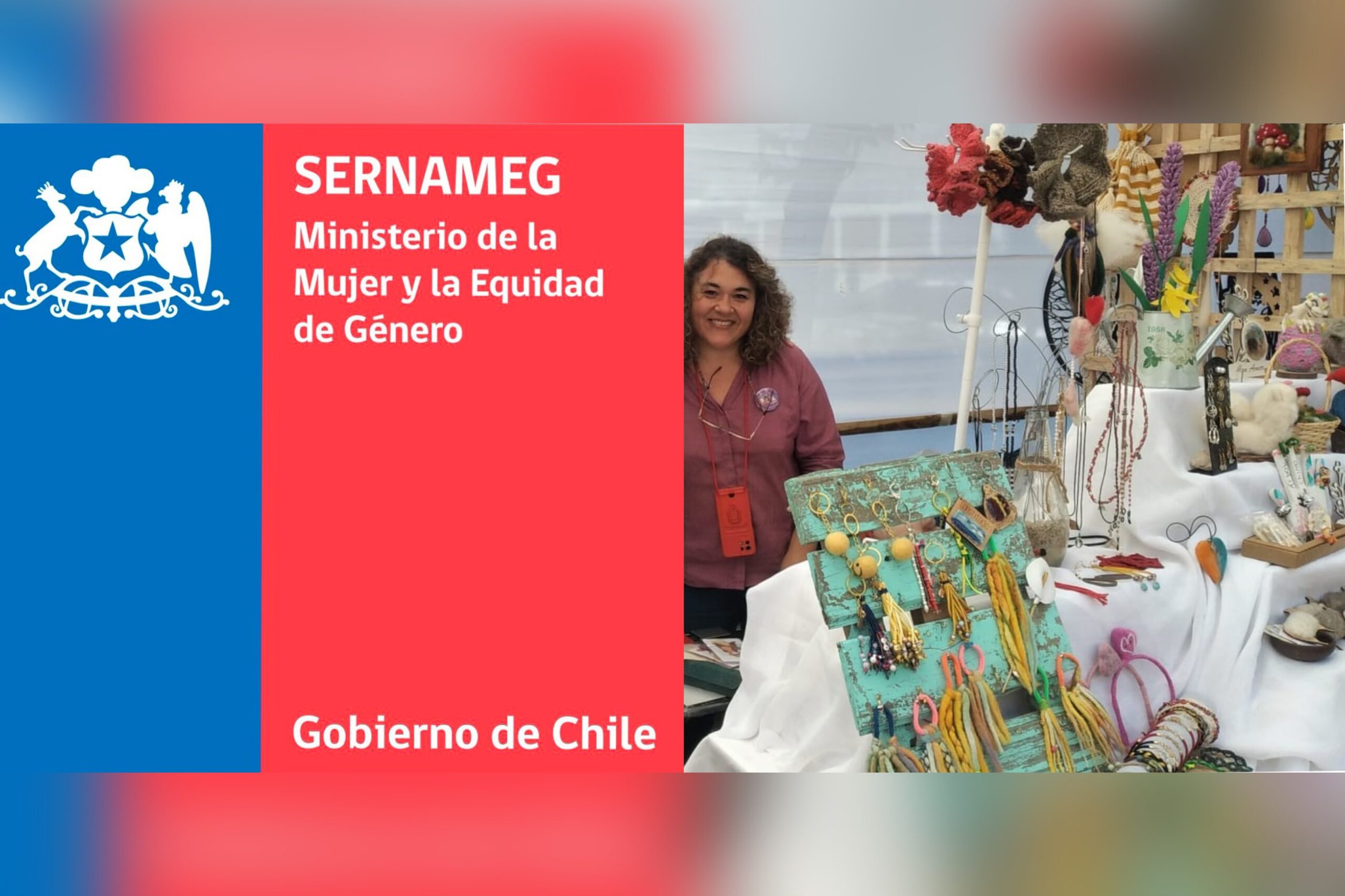 33 Años Sernameg Prevención De Violencia Contra Las Mujeres Diario El Centro 6051