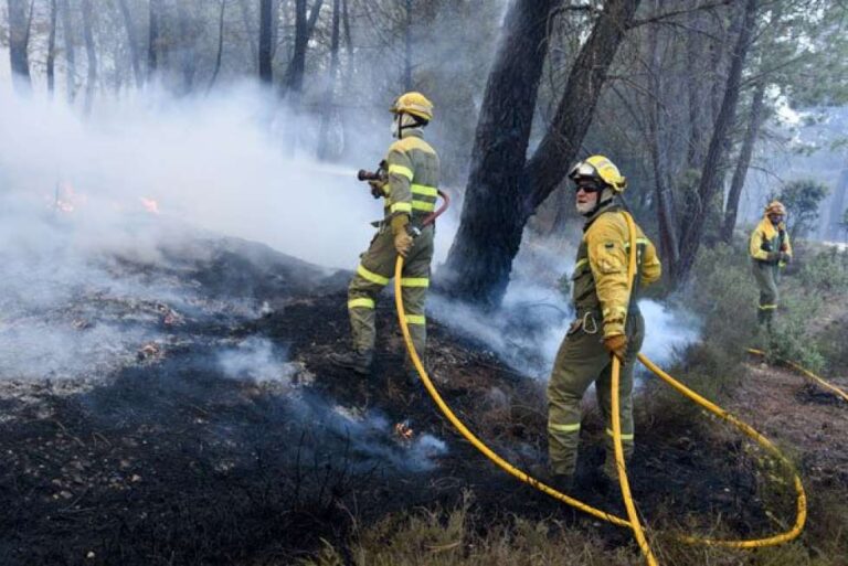 Valparaiso: autoridades confirman 56 muertes y aseguran intencionalidad en los incendios