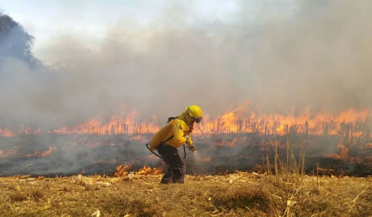 Adulto mayor con medidas cautelares por incendio en San Javier