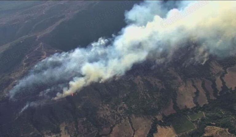 Tres incendios fueron extinguidos y tres están bajo control en el Maule