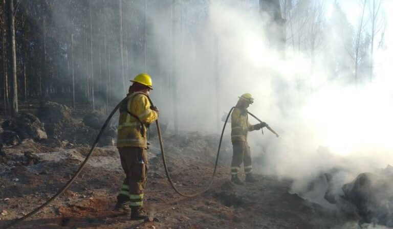 Trabajo de Conaf logró exitosa contención de incendios forestales