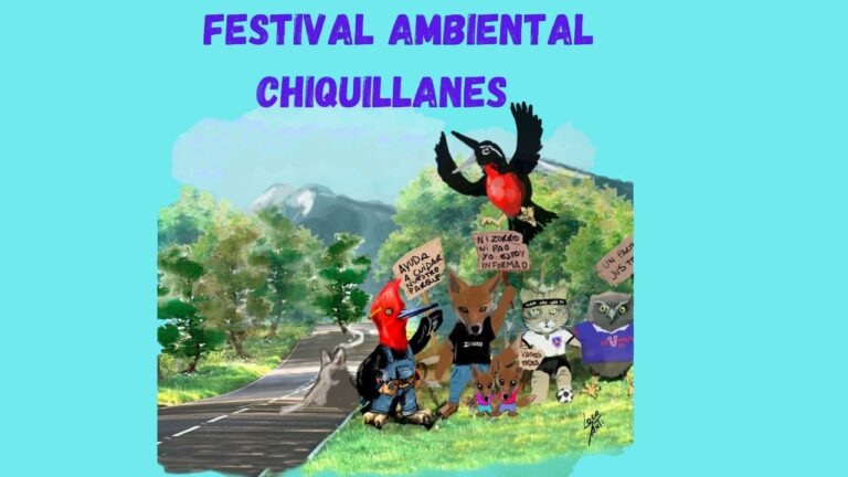 Festival Chiquillanes de Molina: Música con enfoque ambiental