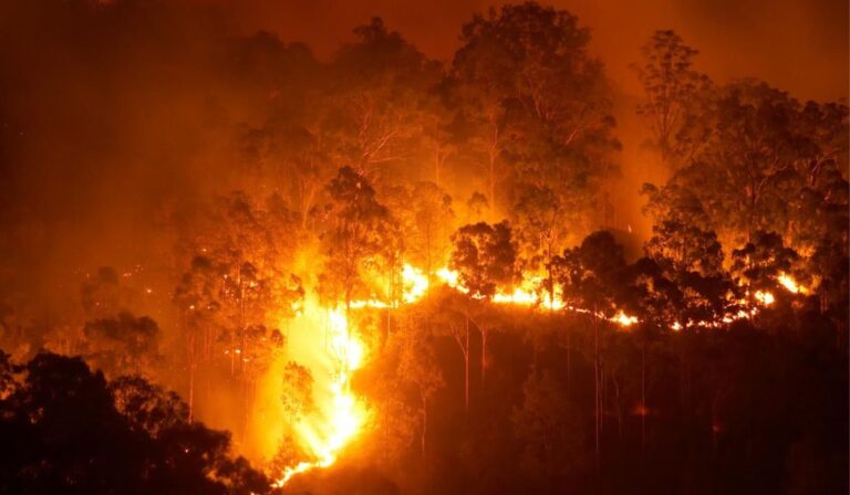 Decretan Alerta Roja por rápido avance de incendio forestal en Molina