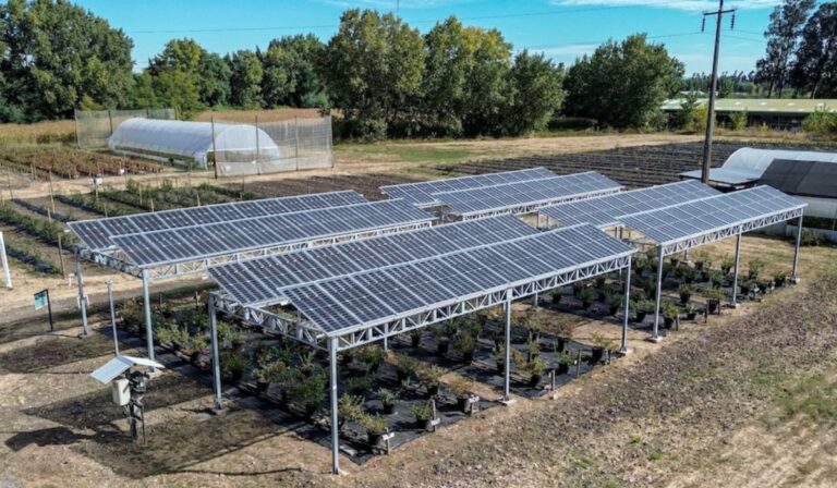Primera granja solar del país está en Villa Alegre