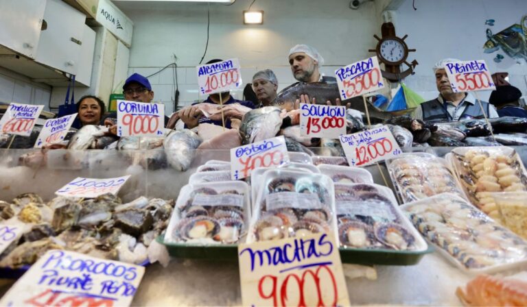 Cuídate en Semana Santa: Recomendaciones para cocinar mariscos y pescados