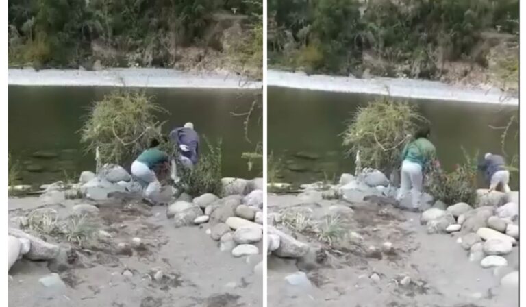 “Intento de homicidio”: Anuncian querella contra mujer que empujó abuelito al río Achibueno
