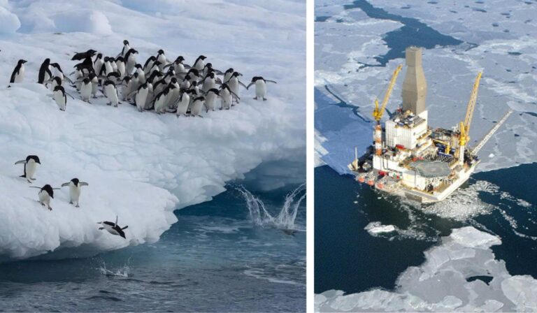 ¡Alerta en el continente blanco! Señalan que Rusia encontró petróleo y gas en la Antártida