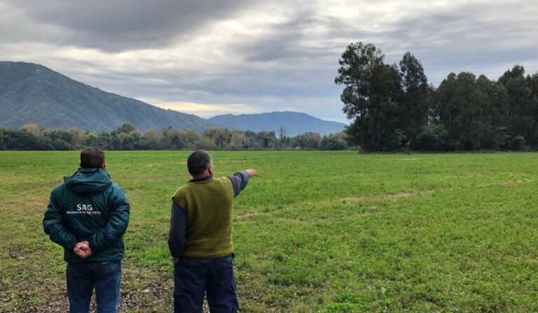 SAG impulsa siembras de cereales en el Maule con $300 millones de pesos