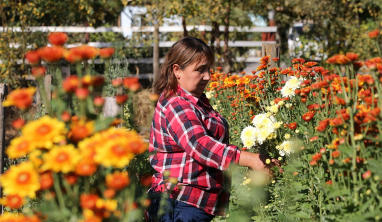 Dama de las flores: Conoce la floricultura en la región del Maule