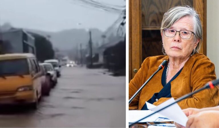 Diputada Bulnes pide que empresa se haga responsable  por nuevas inundaciones en Constitución