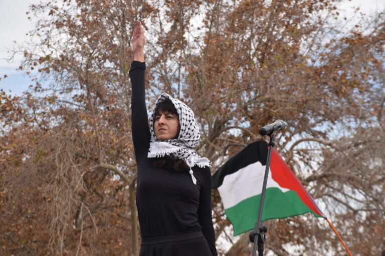 3000 personas marcharon la mañana del domingo por Palestina en Santiago