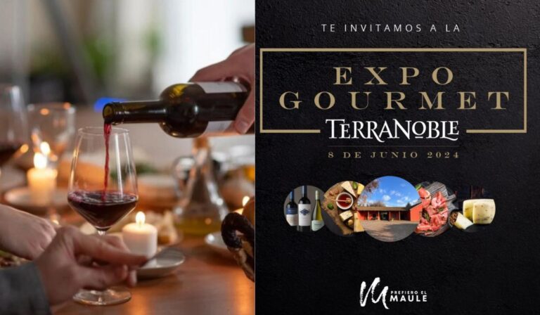 Expo Gourmet de Viña Terranoble: Cautiva tus sentidos este sábado en San Clemente