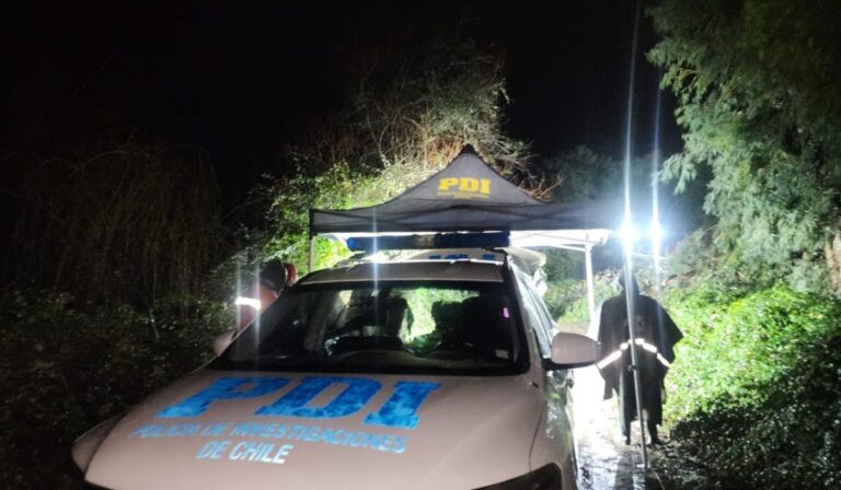Lluvias en Linares: Caída de poste provocó muerte de conductor