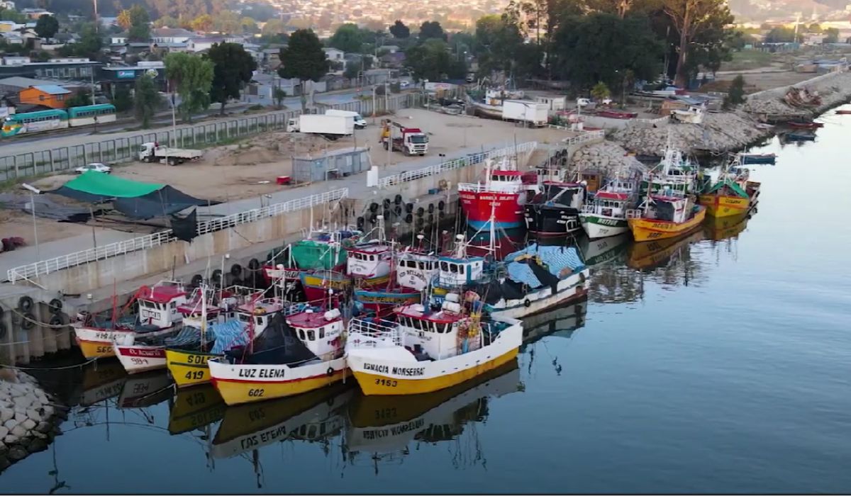 ¡Un viaje por las raíces del Maule! Documental Guanayes se exhibirá ...