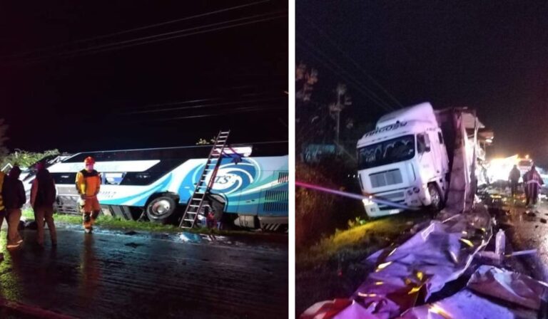 Molina: Auxiliar de bus falleció en accidente de tránsito ocurrido en Ruta 5 Sur