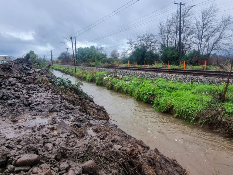 Curicó implementa Medidas Urgentes de Mitigación frente a Emergencia Climática