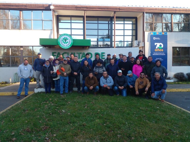 Zumbando en equipo: Capacitan a apicultores de Curicó para mejorar la producción