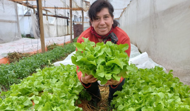 Brigida Trudeo: De pequeña productora a líder en el Maule