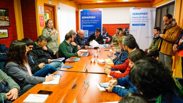 Más de 100 mm de agua y caídas de árboles: El balance del sistema frontal en el Maule