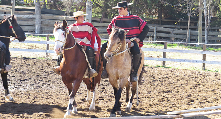 ¡Todo listo en Curicó! Este viernes arranca el Campeonato Nacional de Rodeo Escolar