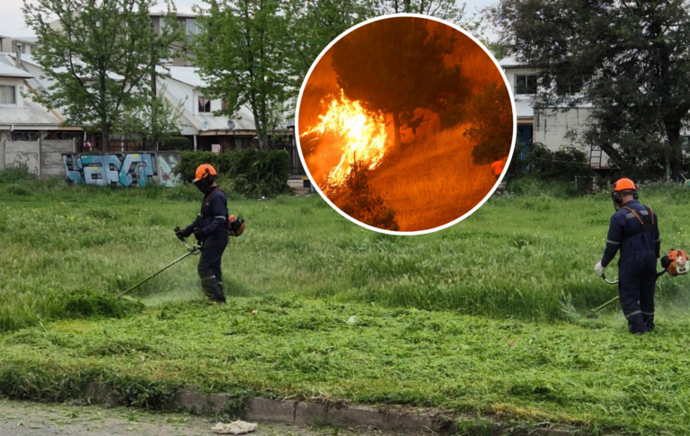 Curicó: Realizan medidas de prevención contra incendios previo a la época de verano