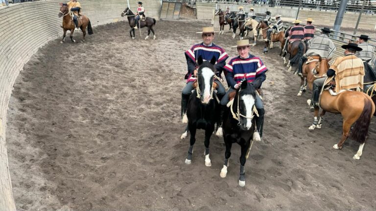 Curicó será el epicentro del Zonal Centro de Rodeo