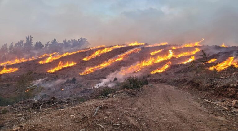 Autoridades informan restricción del uso del fuego para quemas agrícolas en la Región del Maule