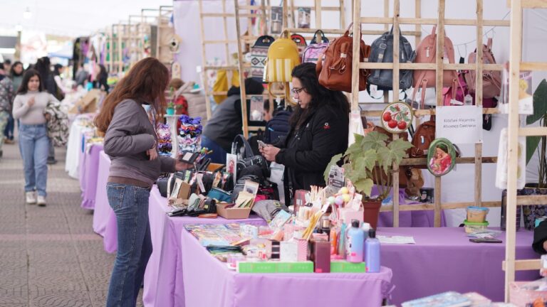 Expo Market Maule trae talleres y productos únicos a Constitución