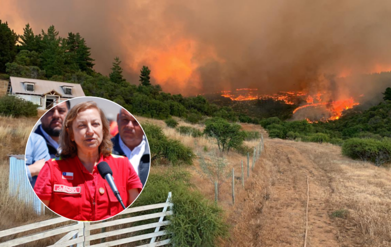 CONAF advierte complejo escenario para la zona centro-sur en la temporada de incendios