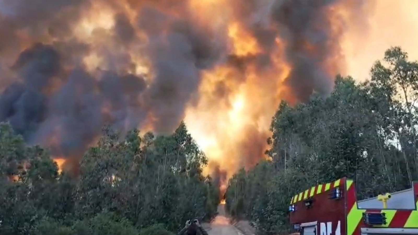 Incendio en Cauquenes: 1200 hectáreas afectadas